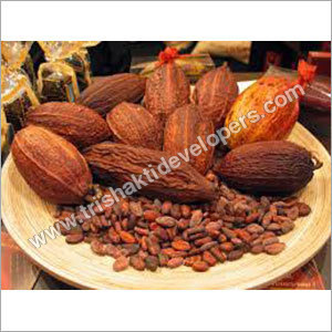 Cocoa Products Cocoa Products