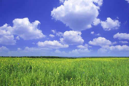Environmental Testing Services Environmental Testing Services