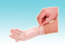 Disposable Vinyl Gloves Disposable Vinyl Gloves