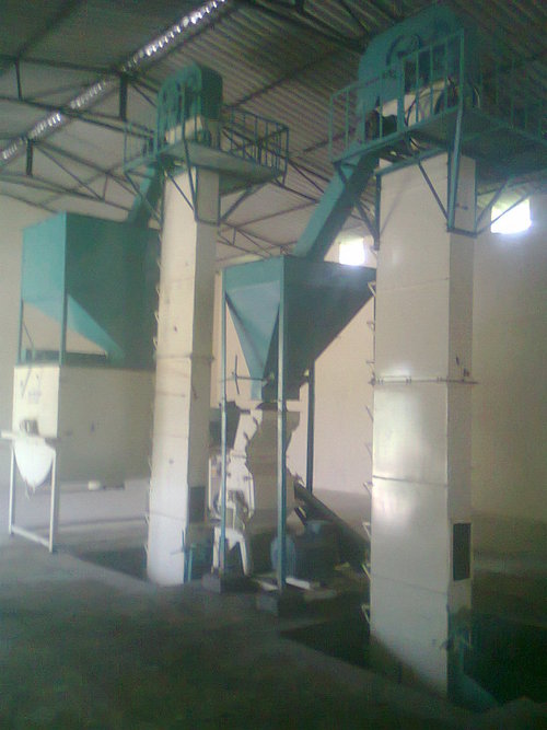 Murgi Dana Plant Murgi Dana Plant