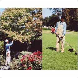 Garden Maintenance Garden Maintenance