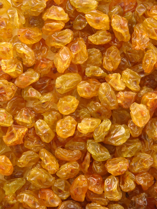 Golden Raisin Golden Raisin