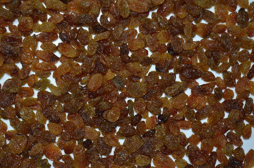 Brown Raisin Zing Brown Raisin Zing