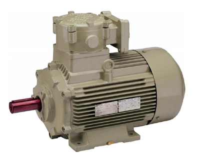 Flameproof Electric Motors Flameproof Electric Motors