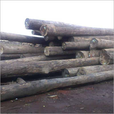 Hard Wood Timber Hard Wood Timber