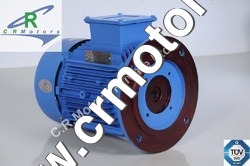 Vertical Hollow Shaft Motor Vertical Hollow Shaft Motor
