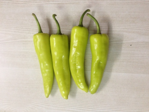 Chilly Seeds Chilly Seeds