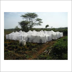 Mesh Insect Net Mesh Insect Net