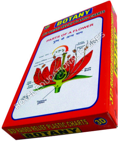 3D Raised Relief Plastic Charts 3D Raised Relief Plastic Charts