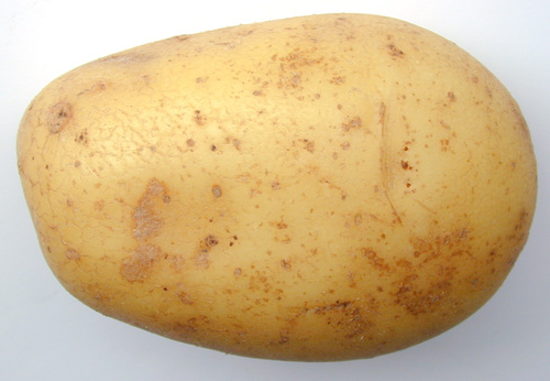 Fresh Potato Fresh Potato