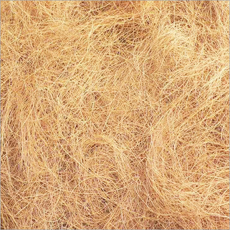 Coconut Fiber Coconut Fiber