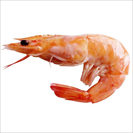 Fresh Prawns Fresh Prawns
