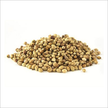 Dry Coriander Dry Coriander
