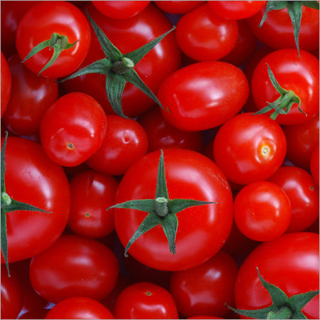 Fresh Red Tomatoes Fresh Red Tomatoes