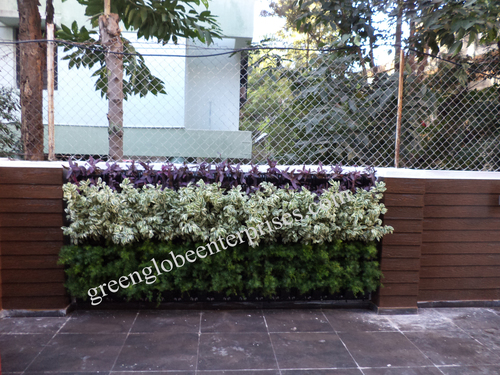 Green Wall Green Wall