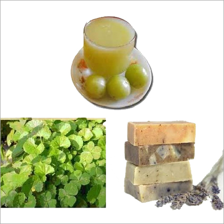 Herbal Amla Juice Herbal Amla Juice