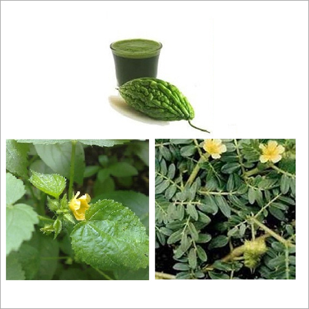 Healthy Herbal Juice Healthy Herbal Juice