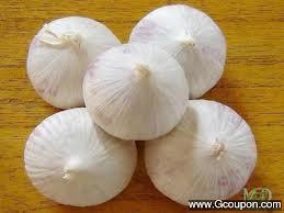 Indian Garlic Indian Garlic