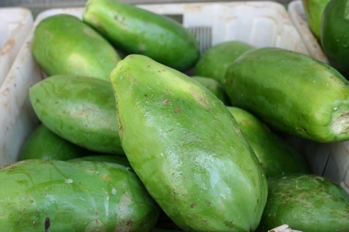 Green Papayas Green Papayas