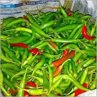 Green Chilli Green Chilli