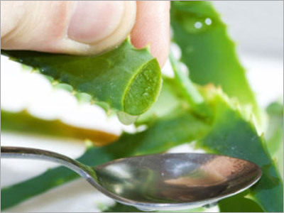 Aloe Vera Juice Aloe Vera Juice
