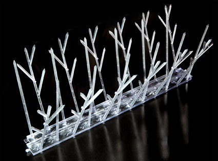 Transparent Bird-Spike Transparent Bird-Spike