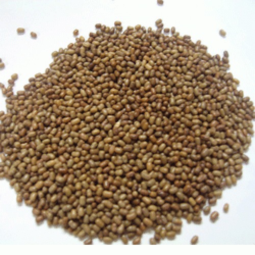 Organic Moth Dal Organic Moth Dal