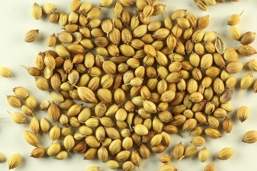 Coriander Seeds Coriander Seeds