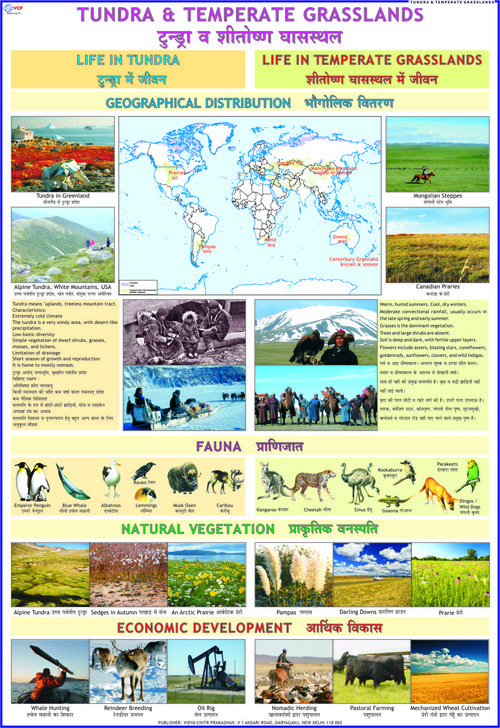savanna biome research paper Plants and animals that thrive in a forest or savanna often cannot transition from one habitat to the other, staver said the science paper illustrates that the loss of savanna to forest is just as ecologically traumatic — though less well known — as deforestation, she said. savanna biome research paper Plants and animals that thrive in a forest or savanna often cannot transition from one habitat to the other, staver said the science paper illustrates that the loss of savanna to forest is just as ecologically traumatic — though less well known — as deforestation, she said.