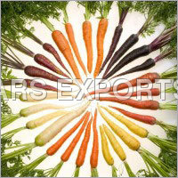 Fresh Red Carrot Fresh Red Carrot