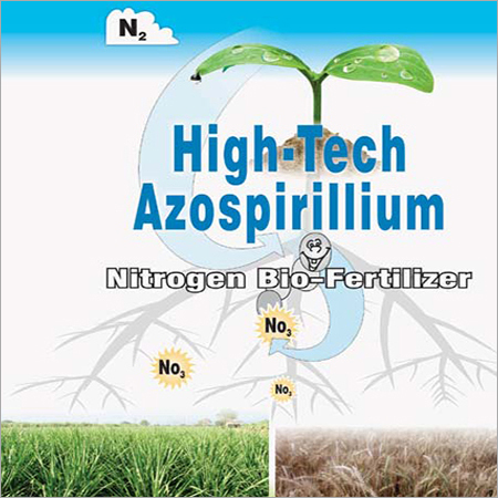Azospirillium Bio Fertilizers Azospirillium Bio Fertilizers