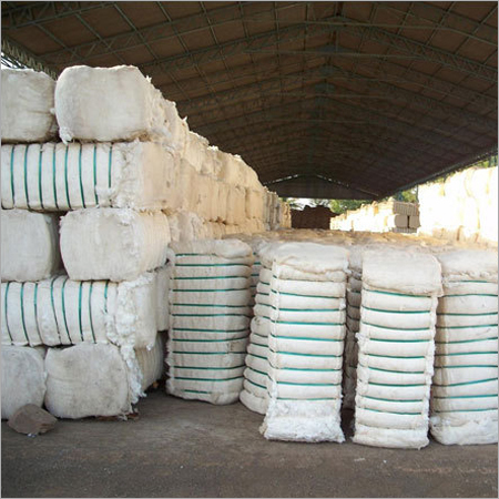 Pure Cotton Pure Cotton