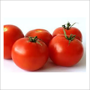 Phytosanitary Certificate For Red Tomatoes Phytosanitary Certificate For Red Tomatoes