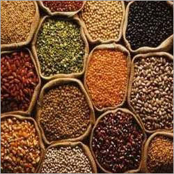 Phytosanitary Certificate For Spices Phytosanitary Certificate For Spices