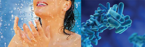 Chlorine Dioxide for Bacteria Removal Chlorine Dioxide for Bacteria Removal