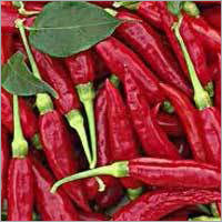 Byadgi Red Chili Byadgi Red Chili