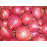 Fresh Onions Fresh Onions