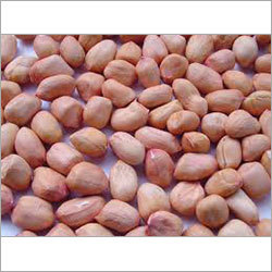 Ground Nut Ground Nut