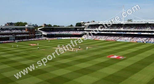 Synthetic Grass Surface (Multi Porpose) Synthetic Grass Surface (Multi Porpose)