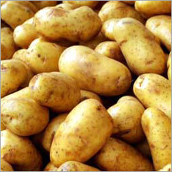 Fresh Potatoes Fresh Potatoes