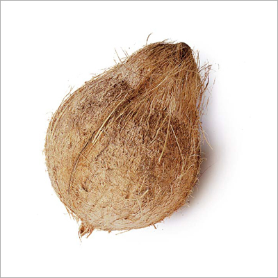 Husked Coconuts Husked Coconuts
