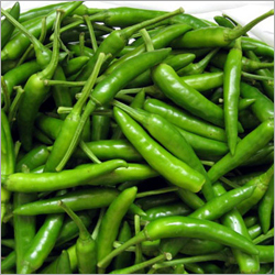 Green Chillies Green Chillies