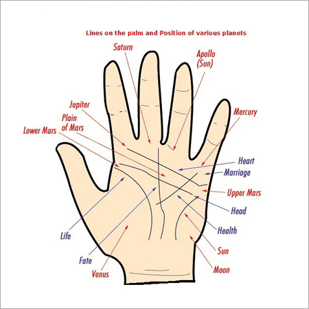 Astrology Palmist Astrology Palmist