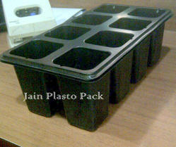 Seedling Tray - 8 Cell Seedling Tray - 8 Cell