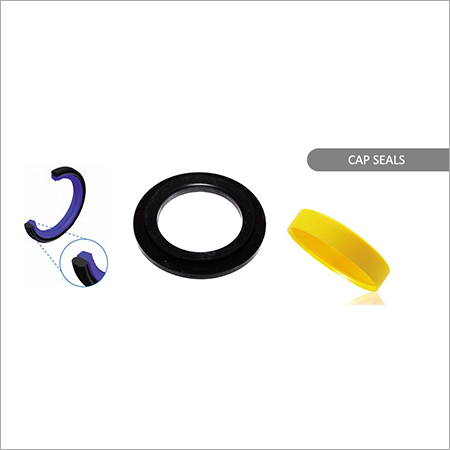 Cap Seals Cap Seals