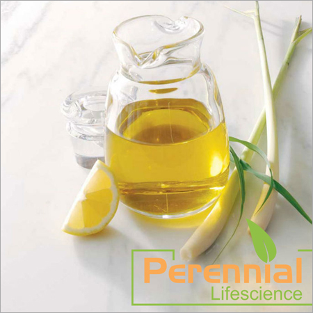 Lemon Grass Oil Lemon Grass Oil