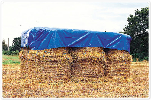Agriculture Purpose Trapaulin Agriculture Purpose Trapaulin