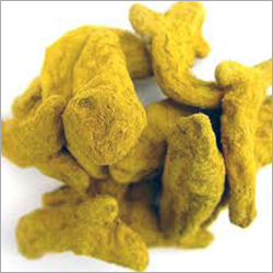 Turmeric Finger Turmeric Finger