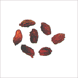 Large Black Cardamom Large Black Cardamom