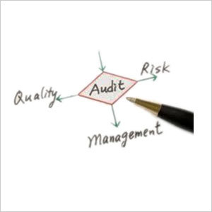 Audit Services Audit Services